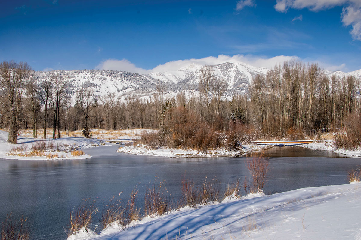 Wildlife & Cross-Country Ski Excursion