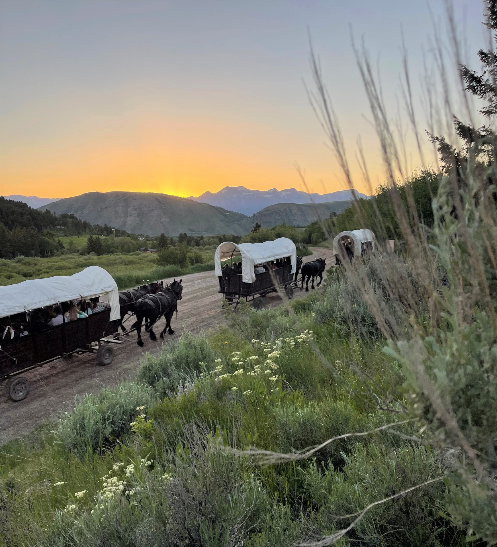 Chuckwagon Dinner